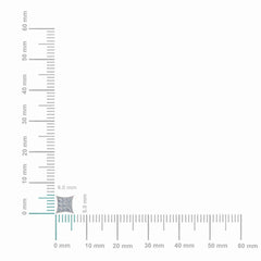 10K White Gold Mens Princess Diamond Square Stud Earrings 1/4 Cttw