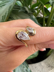 The Dual Pear Ring